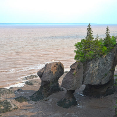 Blog Hopewell Rocks