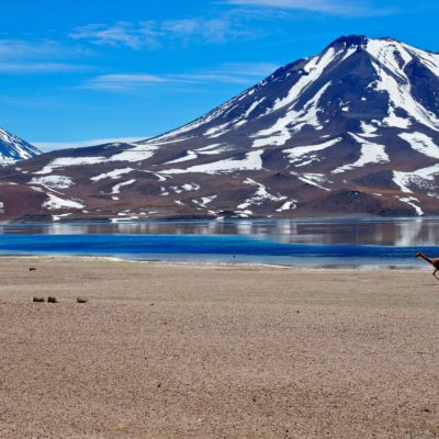 Lagunas Miscanti Atacama Desert Credit Wikicommons