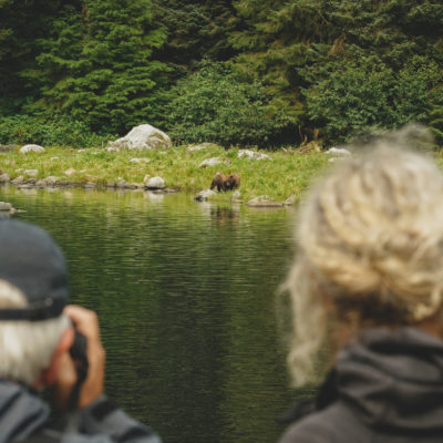 Alaska Guests spot brown bears on shore Credit Uncruise