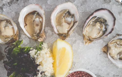 Fresh Oysters