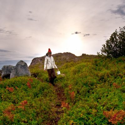 Berry Foraging