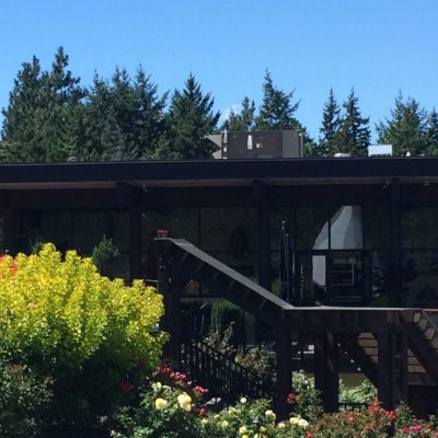 Tasting room at Indigenous World Winery