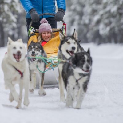 Canada Yukon Dog Mushing Credit