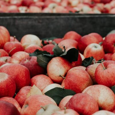 Apples Credit Joanna Nix Unsplash