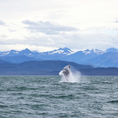 William Henry Bay Alaska