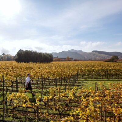 Craggy Range in Hawkes Bay