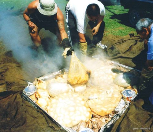Umu Cooking New Plymouth Taranaki Credit James Heremaia