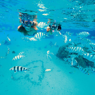 CG A Snorkel 19343 600x400 bf06395