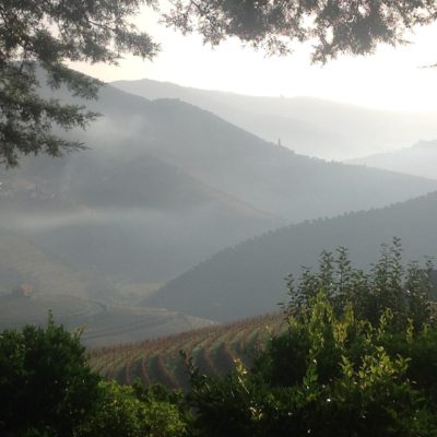 Viewpoint of Douro Valley